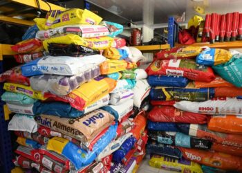 UNGRD traslada más de 11 toneladas de alimento e insumos para animales afectados por inundaciones en Córdoba