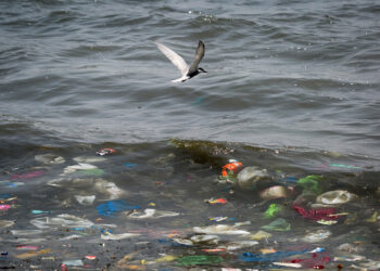 Cuando el daño deja de ser proporcional (Tercera entrega)