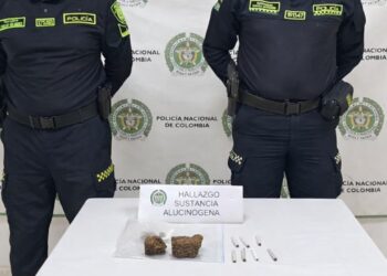 Incautan cerca de 250 gramos de marihuana durante operativo policial en Manaure
