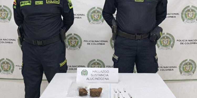Incautan cerca de 250 gramos de marihuana durante operativo policial en Manaure
