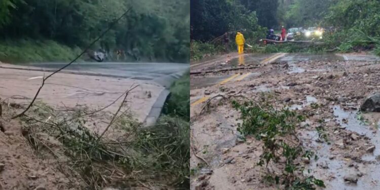 Deslizamientos en la Troncal del Caribe agravan la crisis de conectividad entre La Guajira y Santa Marta