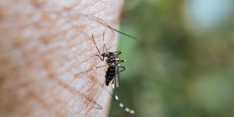 Aumentan los casos de dengue en Valledupar: 305 reportes en lo corrido de 2026