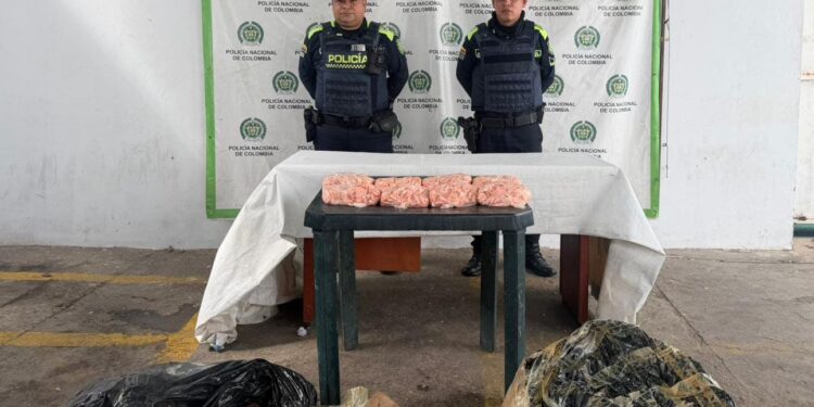 Incautan 150 kilos de camarones por incumplimiento de normas sanitarias en Maicao