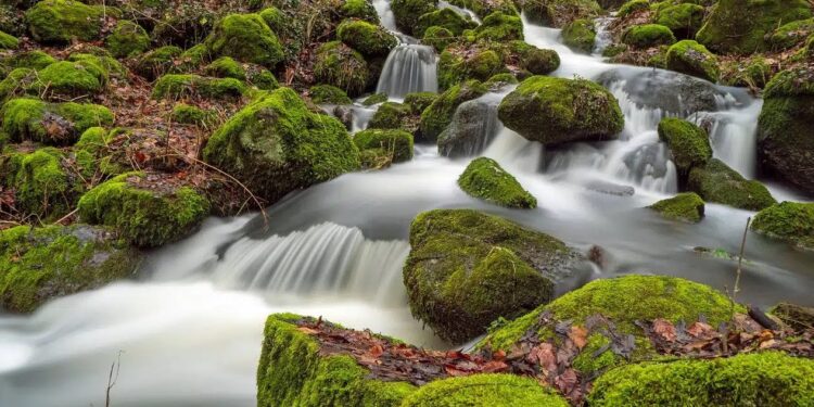 Transición Ecosocial