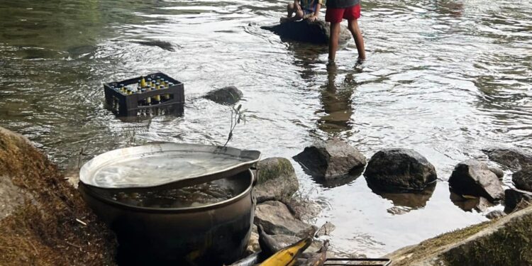 Los ríos se han convertido en sitios de recreación y cultura, o por el contrario tienden a desaparecer
