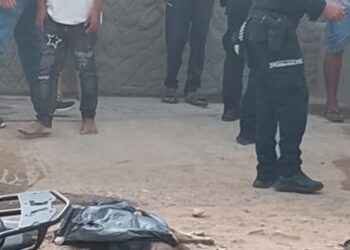 Indignación en Riohacha: hombre asesinó a tiros a un canino en el barrio Caribe