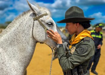 Autoridades desarrollan jornada de bienestar animal y fortalecen lazos con la comunidad en Riohacha