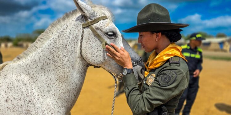 Autoridades desarrollan jornada de bienestar animal y fortalecen lazos con la comunidad en Riohacha