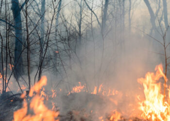 Alerta por alto riesgo de incendios forestales en municipios de La Guajira