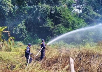 Bomberos atienden incendio forestal en vía hacia Distracción, La Guajira