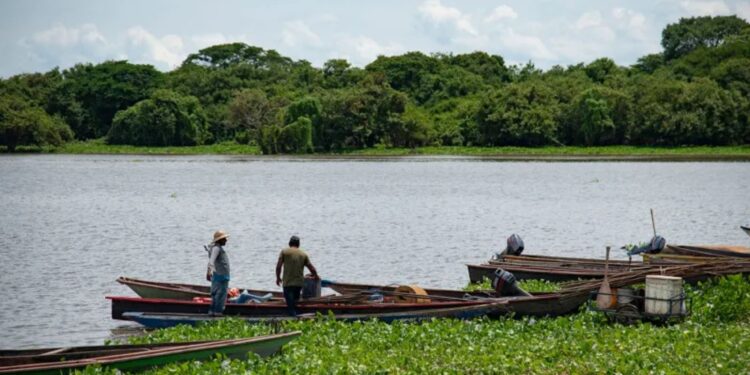 Descubren más de 15 puntos de minería ilegal de oro en la Ciénaga de Zapatosa, Cesar