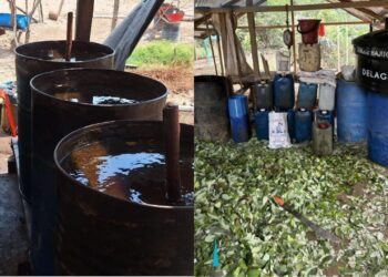 Ejército Nacional destruye laboratorio de coca en zona rural de Dibulla: pertenecería a “Los Pachenca”