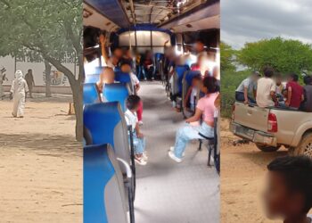 Evacúan institución educativa y comunidad de Shiruria en Manaure tras ataque de abejas africanas