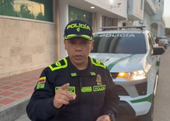 Borrador automático