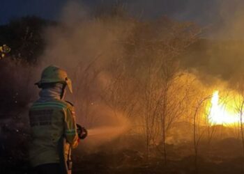 Emergencia en Ziruma: incendio consume una hectárea de vegetación en Santa Marta