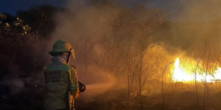 Emergencia en Ziruma: incendio consume una hectárea de vegetación en Santa Marta