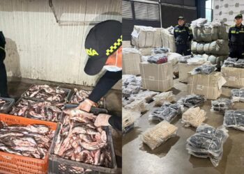 Golpe al contrabando: incautaciones superan los $5.800 millones en operativos del plan “Semana Santa Segura”