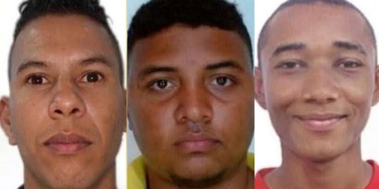 Identifican a los tres últimos abatidos tras enfrentamiento entre Ejército y ACSN: completan la identificación de los nueve