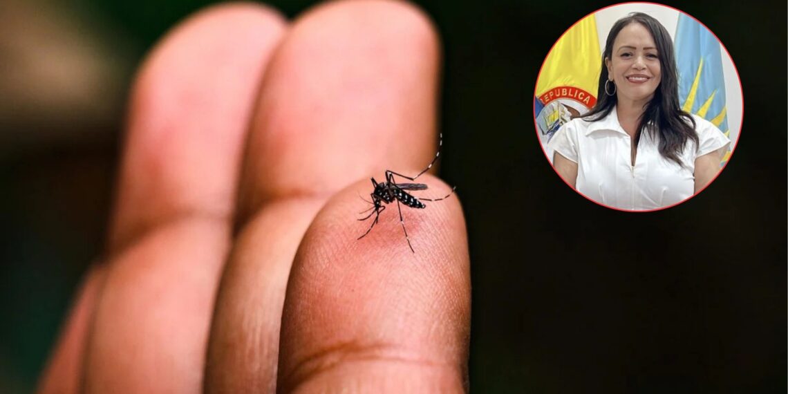 Secretaría de Salud de Riohacha activa intervención sanitaria por casos de leishmaniasis y aumento de dengue