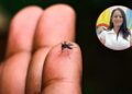 Secretaría de Salud de Riohacha activa intervención sanitaria por casos de leishmaniasis y aumento de dengue