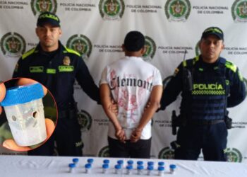 Autoridades capturan a motociclista con 17 ranas en peligro de extinción en el Valle del Cauca