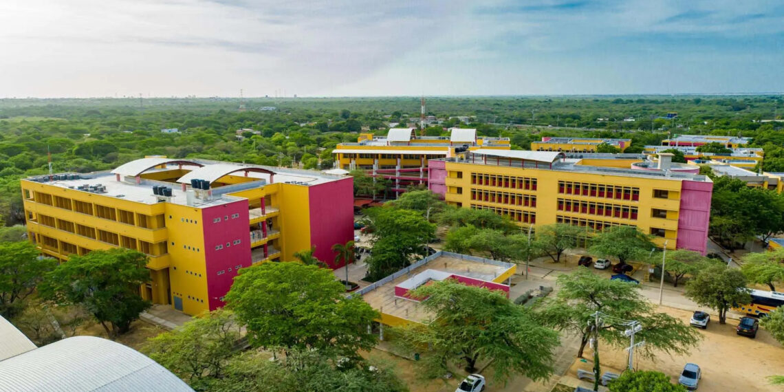 La universidad que nos salvó