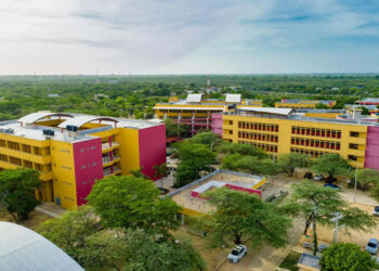 La universidad que nos salvó