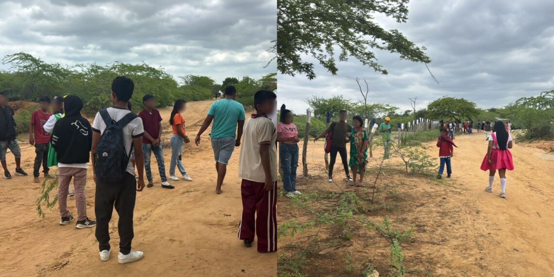 Enjambre de abejas africanas ataca comunidad y escuela en zona rural de Manaure