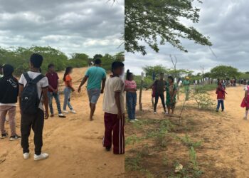 Enjambre de abejas africanas ataca comunidad y escuela en zona rural de Manaure