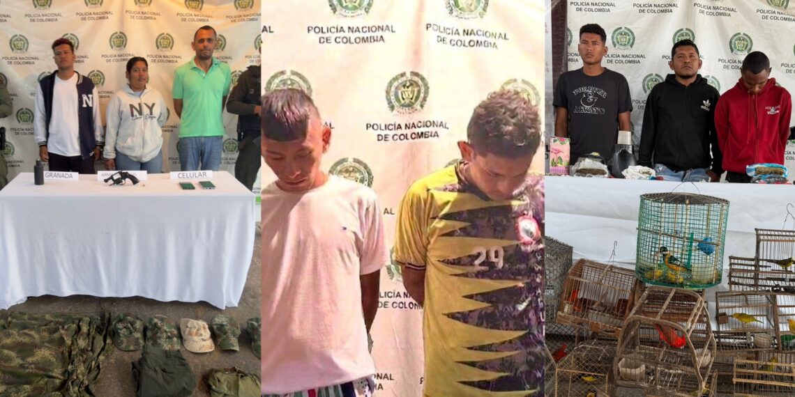 Autoridades capturan a 13 personas en Maicao por homicidio, extorsión y microtráfico