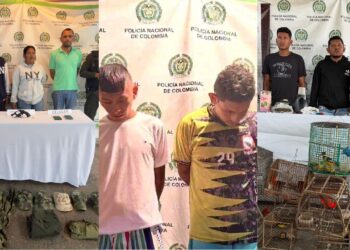 Autoridades capturan a 13 personas en Maicao por homicidio, extorsión y microtráfico