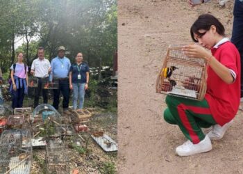 Fauna silvestre rescatada en la costa Caribe regresa a La Guajira