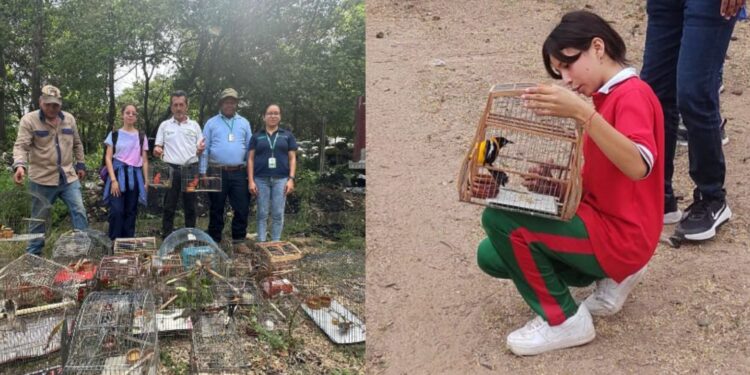 Fauna silvestre rescatada en la costa Caribe regresa a La Guajira