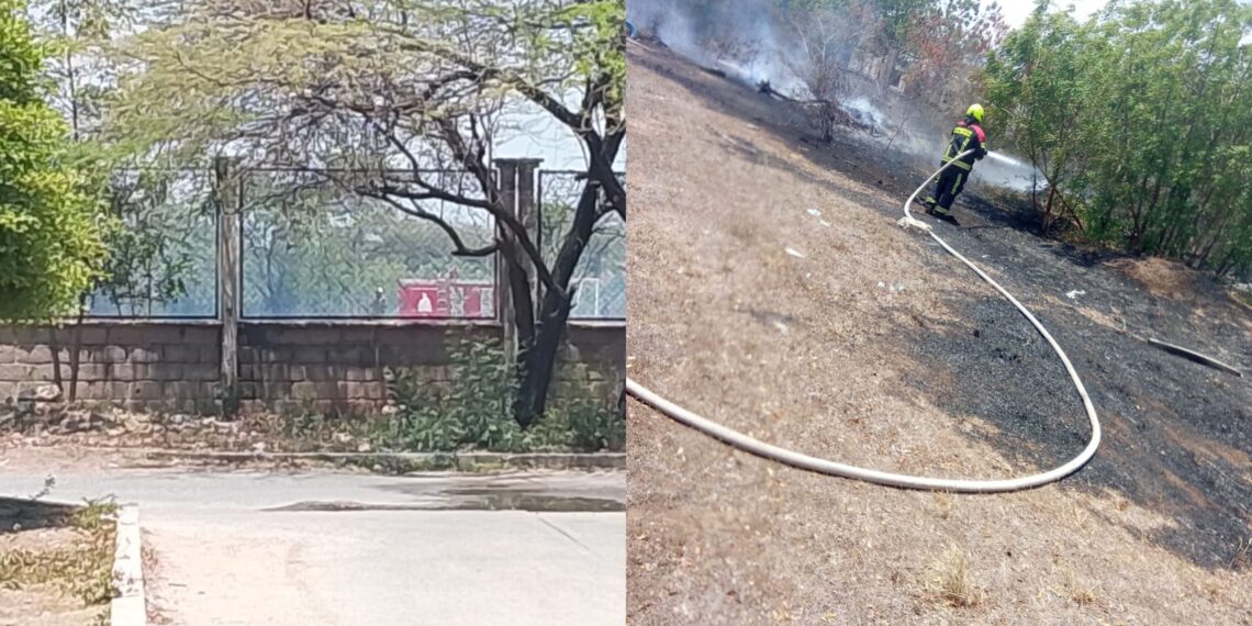 Incendio forestal puso en riesgo la infraestructura del colegio Pauvi en Barrancas