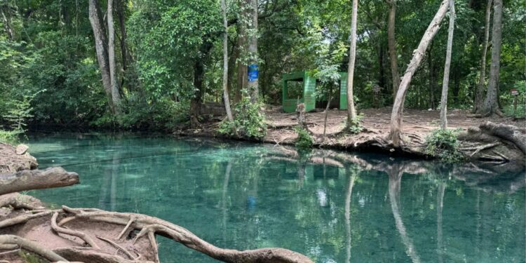 Corpoguajira ratifica negativa a licencia ambiental del proyecto minero Cañaverales