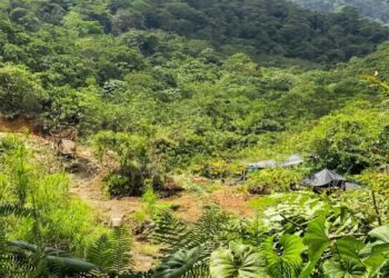 Alerta por posible contaminación del río Dagua debido a minería ilegal en Buenaventura
