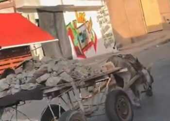 Rechazo e indignación en Riohacha por presunto caso de maltrato animal en plena vía pública