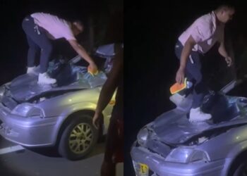 Choque con semoviente en la vía Cuestecitas–Riohacha deja daños materiales