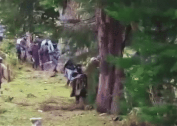 Seis muertos y decenas de heridos deja violento choque entre comunidades indígenas en Cauca