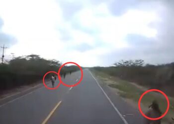 Delincuentes interceptan y hurtan a conductor de tractocamión en la vía Maicao–Paraguachón