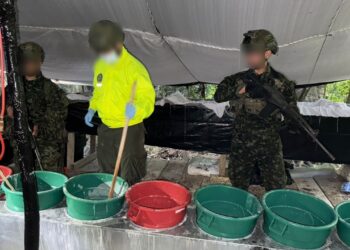 Incautan 1,5 toneladas de cocaína y destruyen 19 explosivos en operativo contra el ELN en el Cesar