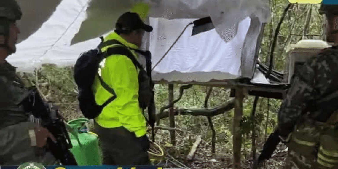 Incautan más de media tonelada de cocaína en operativo contra estructura del ELN