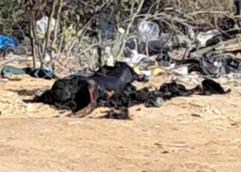 Autoridades guardan silencio sobre presunto cuerpo calcinado hallado en Uribia