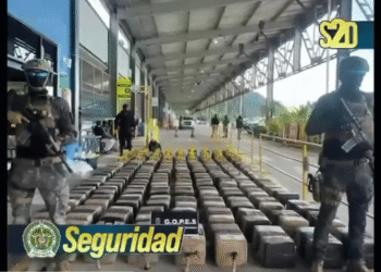 Incautan 2,6 toneladas de cocaína en operación conjunta entre Colombia y Costa Rica