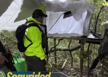 Incautan más de media tonelada de cocaína en operativo contra estructura del ELN
