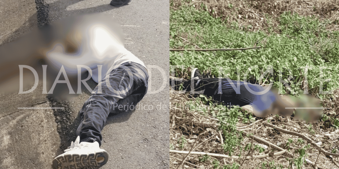Confirman doble homicidio en la vía Albania – Maicao; víctimas aún no han sido identificadas