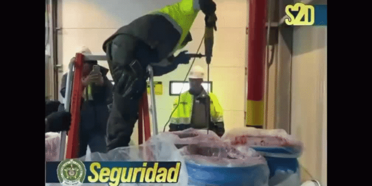 Incautan 578 kilos de cocaína camuflados en pulpa de guayaba en Cartagena