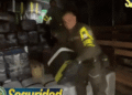 Incautan 5,5 toneladas de marihuana durante operativo contra el narcotráfico