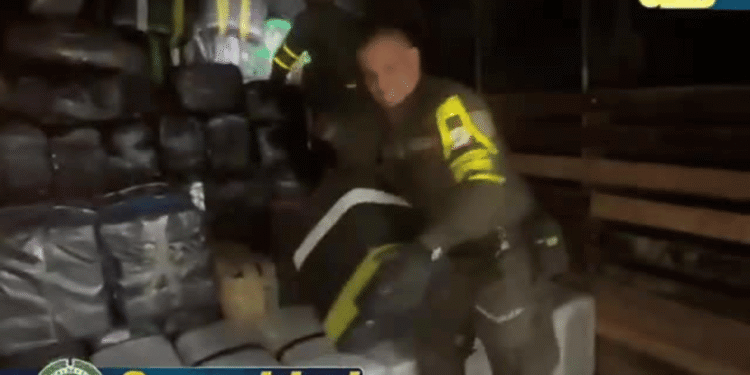 Incautan 5,5 toneladas de marihuana durante operativo contra el narcotráfico