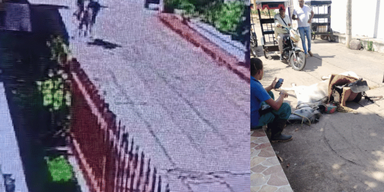 Joven resultó lesionado tras caer de una mula fuera de control en Villanueva